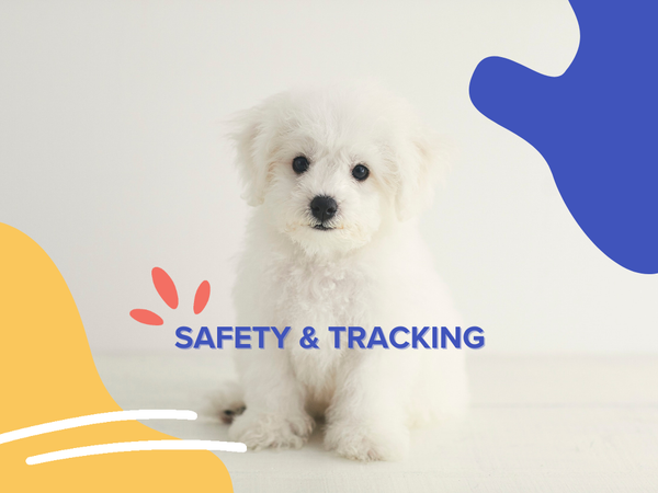 Safety & Tracking