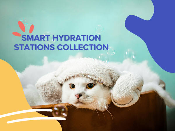 Smart Hydration Stations Collection